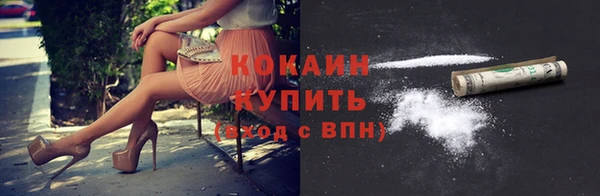 гидра Богородицк
