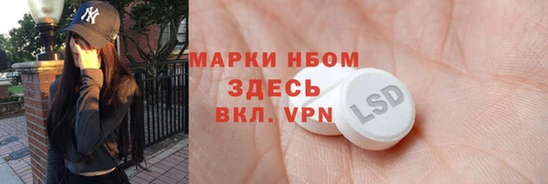 гидра Богородицк