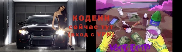 гидра Богородицк