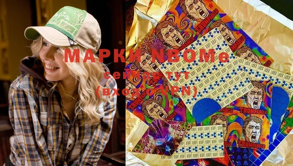 гидра Богородицк