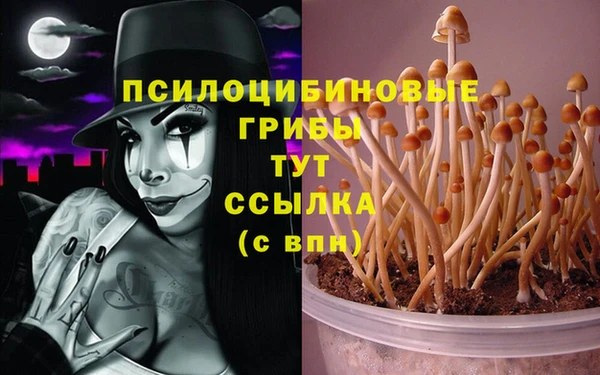 мяу мяу мука Богородск