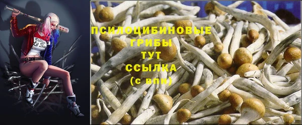 мяу мяу мука Богородск