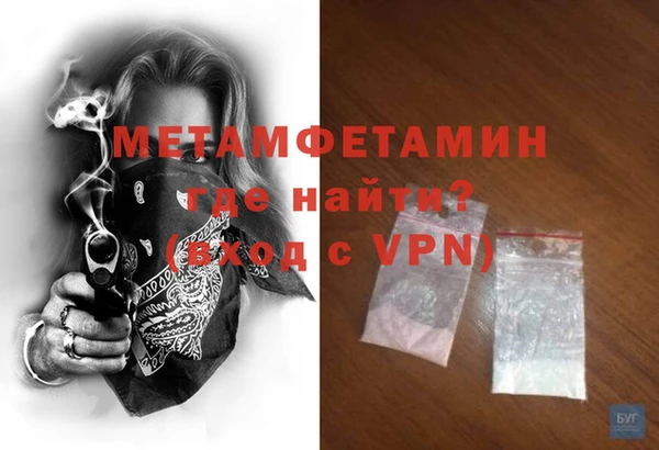 гидра Богородицк