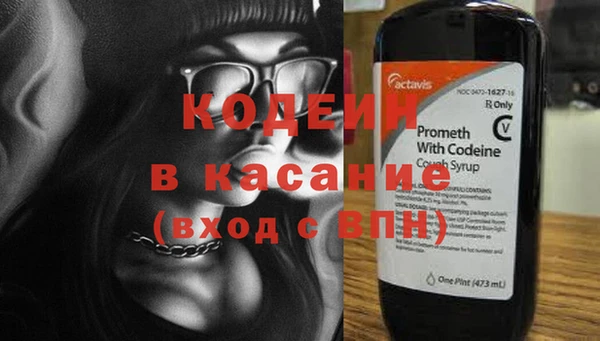 гидра Богородицк