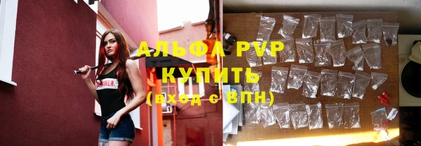 гидра Богородицк